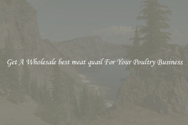 Get A Wholesale best meat quail For Your Poultry Business