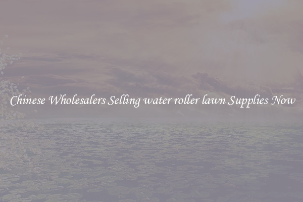 Chinese Wholesalers Selling water roller lawn Supplies Now