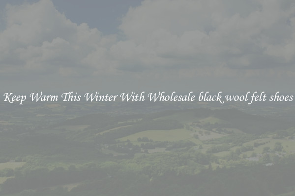 Keep Warm This Winter With Wholesale black wool felt shoes