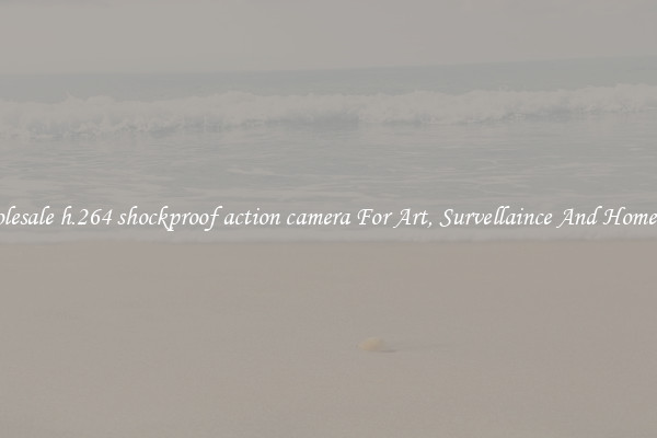 Wholesale h.264 shockproof action camera For Art, Survellaince And Home Use