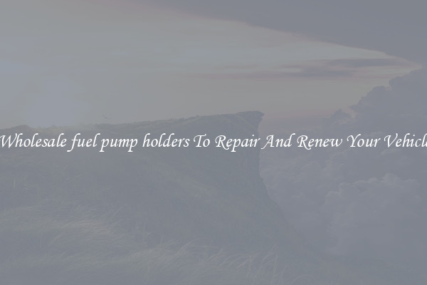 Wholesale fuel pump holders To Repair And Renew Your Vehicle