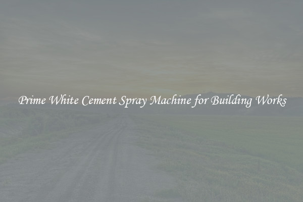 Prime White Cement Spray Machine for Building Works