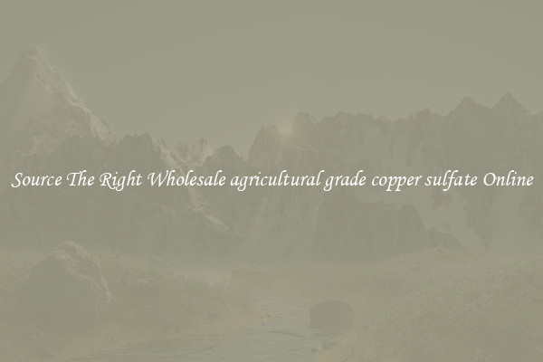 Source The Right Wholesale agricultural grade copper sulfate Online