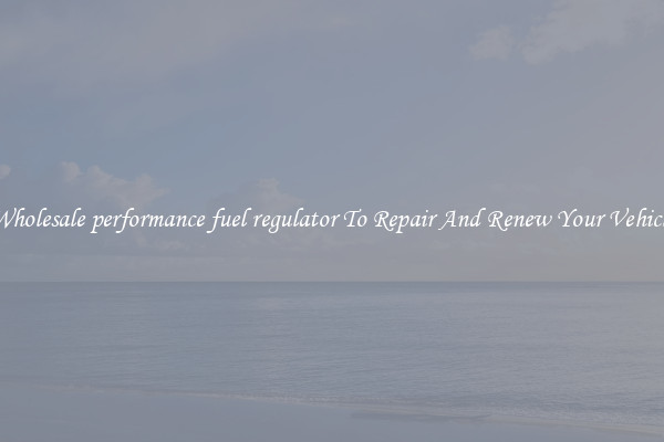 Wholesale performance fuel regulator To Repair And Renew Your Vehicle