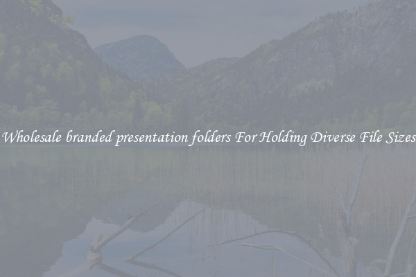 Wholesale branded presentation folders For Holding Diverse File Sizes