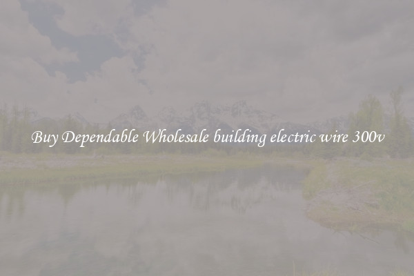 Buy Dependable Wholesale building electric wire 300v