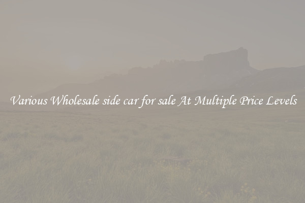 Various Wholesale side car for sale At Multiple Price Levels