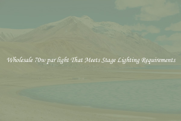 Wholesale 70w par light That Meets Stage Lighting Requirements