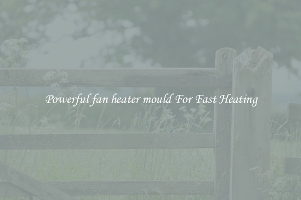 Powerful fan heater mould For Fast Heating