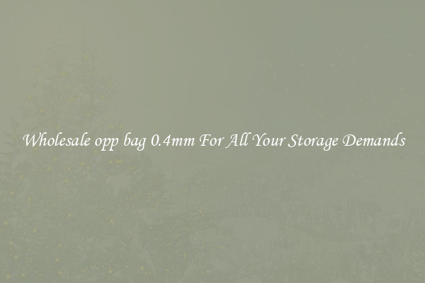 Wholesale opp bag 0.4mm For All Your Storage Demands