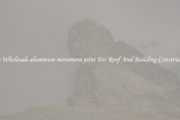 Buy Wholesale aluminum movement joint For Roof And Building Construction