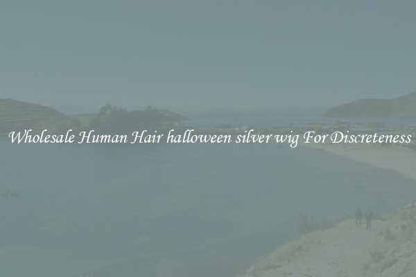 Wholesale Human Hair halloween silver wig For Discreteness