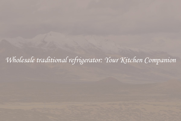 Wholesale traditional refrigerator: Your Kitchen Companion
