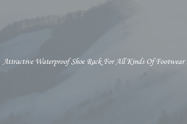 Attractive Waterproof Shoe Rack For All Kinds Of Footwear
