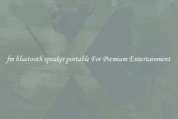 fm bluetooth speaker portable For Premium Entertainment 
