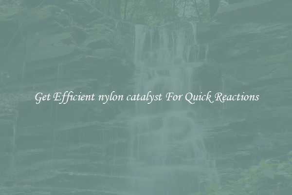 Get Efficient nylon catalyst For Quick Reactions